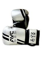Pair of silver boxing gloves with black stripes and bold lettering, 10 oz size, sports gear