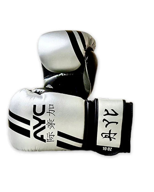 Pair of silver boxing gloves with black stripes and bold lettering, 10 oz size, sports gear